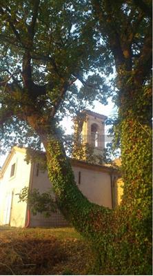 Indipendente - Casale a Miralduolo, Torgiano
