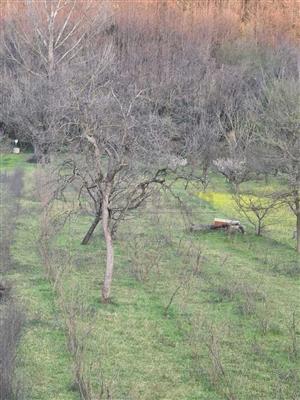 Agricolo - Area Verde a Torello, Mercato San Severino