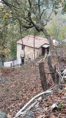 Casa singola in buono stato di 50 mq. a Altagnana