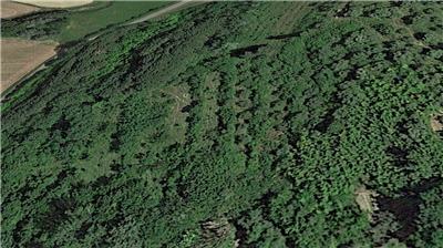 Terreno agricolo in buono stato di 11500 mq. a Balconevisi