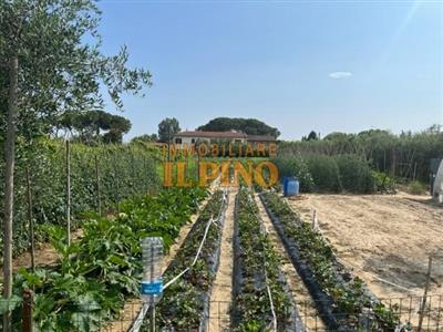 Terreno agricolo in buono stato di 3200 mq. a Riglione Oratoio