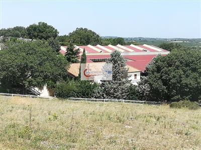 Agriturismo in vendita a Ruvo di Puglia zona Parco Naturale Selva Reale - Azienda Agrituristica