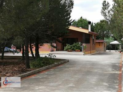 Villa in vendita a Andria CONTRADA CARIATI