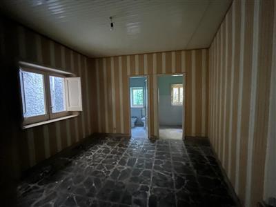 6642819_74144.jpg