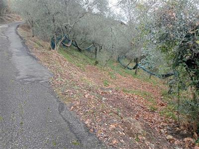 immagine annuncio 4 di 8