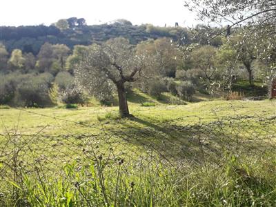 immagine annuncio 8 di 14