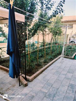 8050485_1327953-okgbek89jny.jpeg