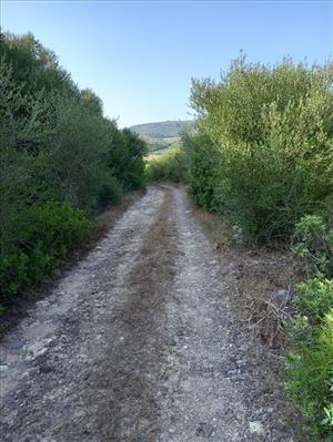terreno agricolo in vendita a Sorso